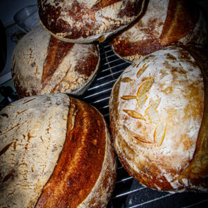 24hr Sourdough Loaf 900g